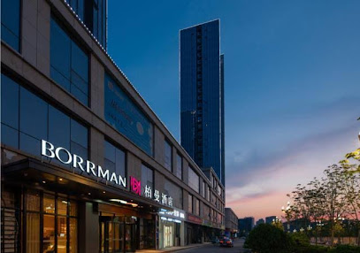 Borrman Hotel Jining Rencheng District Government