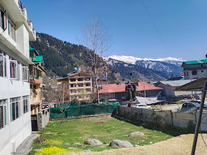 Alfa hotel manali