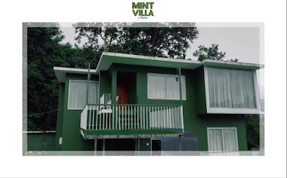 Mint villa by triptick