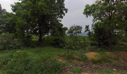 Md vakil ansari