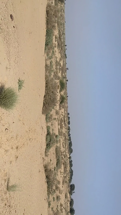 Suraj Hotel And Guest House