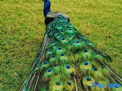 Taihu Blue Mirror Resort