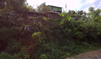 Tragopan Homestay (Pinchuley)
