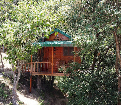 Vriksh Kutir (Treehouse)