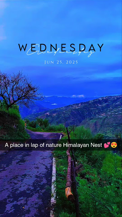 Himalayan Nest