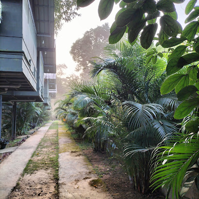 WAYANAD WILDLIFE RESORT