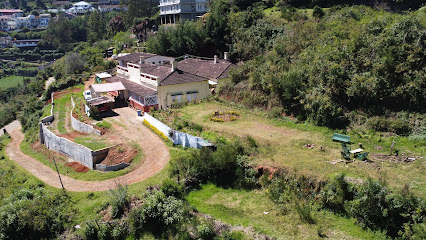 Woodstock Ooty