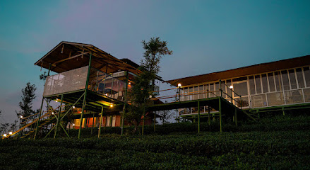 Tea Forest Resort