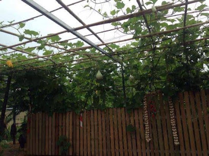 Beijing Duoji Home Farmhouse