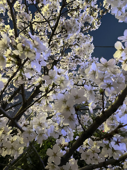 北京森林木缘商务宾馆