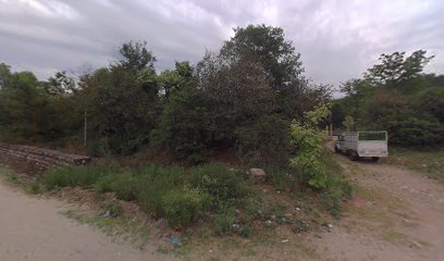 OYO Home Renu Homestay