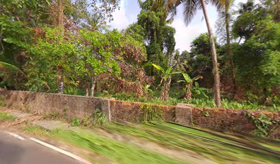 OYO Home Vinu Villa