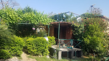 Chirping birds homestay