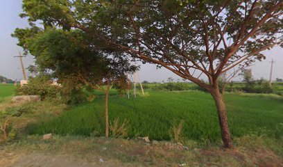 MANJU EGG RICE CENTER