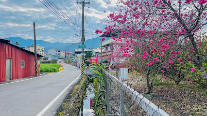 璞光庭 Solstice Holar 埔里合法包棟民宿