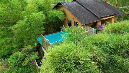 Tea Terrain Resorts and Spa