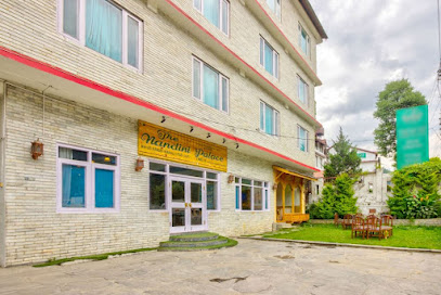 The nandini palace