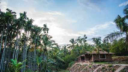 Dandeli Jungle Adventure