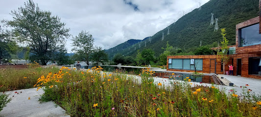山泽居度假酒店（米林林芝机场店）