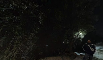 Orange guest house Dharmkot