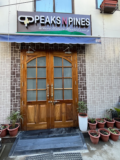 Peaks N Pines hotel (Sardarji Homestay)