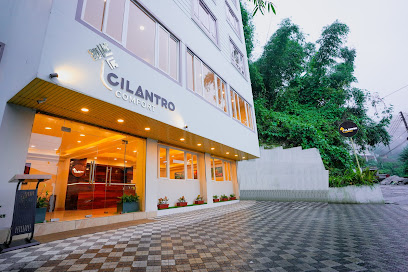 Cilantro Comfort