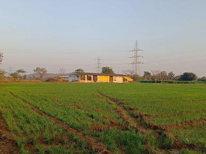 Kothari Farmland