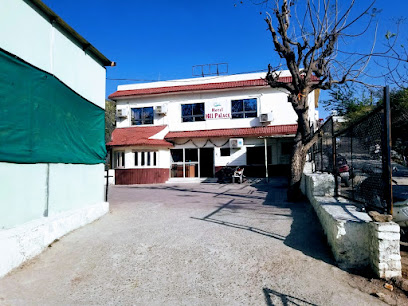 Hotel Hill Palace