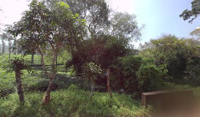 POP Vythiri Palace Appartment