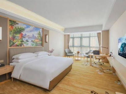 vienna Hotel