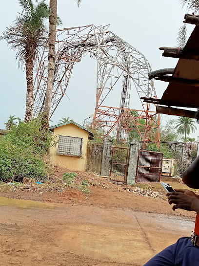 Hotel Golden Park Inn and Salimar Restaurant Basukinath