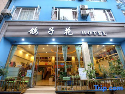 Q+ Dove Flower Hotel