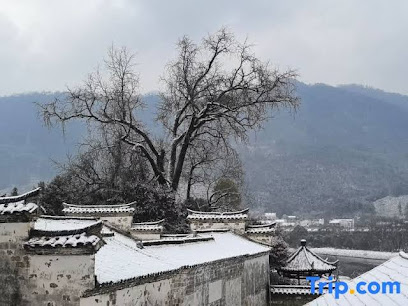 Jinshui Loutai Inn