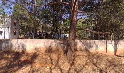 Forest guest house