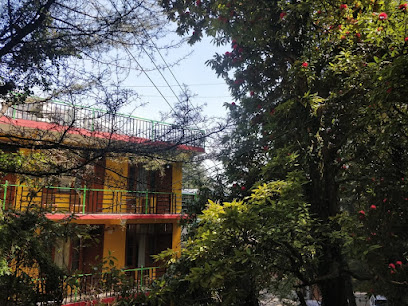 Mustard House -Dharamkot. Travellers Homestay