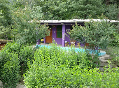 Jim Morrison Homestay