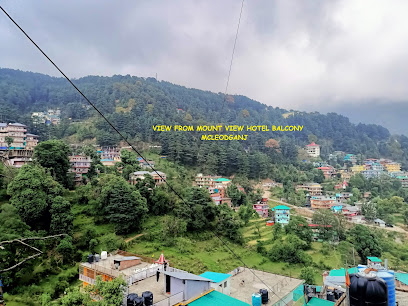 Hotel Mount View Mcleodganj