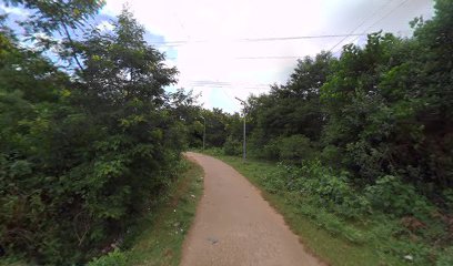 Maa Tarini complex