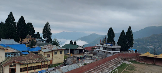HOTEL GREEN VIEW BOMDILA