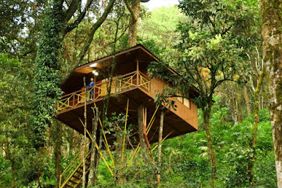 Munnar Treehouse