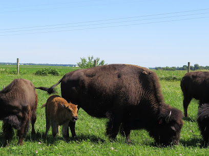 Prairie Stay at the Prairie Rim Ranch