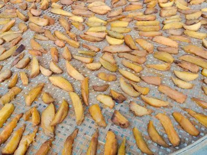 Tonglu She Township Bamboo House