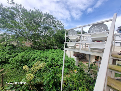 The Dandelion A Premium Yercaud Homestay