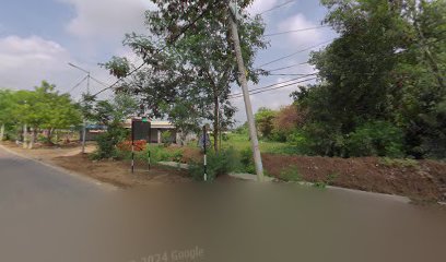 ROOTS INDIA