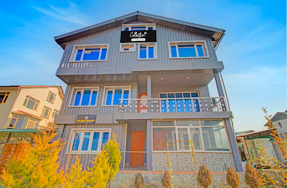 Collection O by OYO Kursoo Rajbagh Formerly Mid Valley Residency