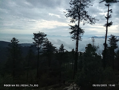 Bandipora graze road