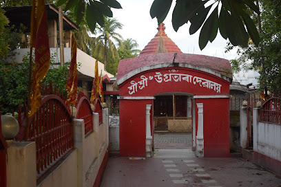 Marimba Airbnbs and Hostels