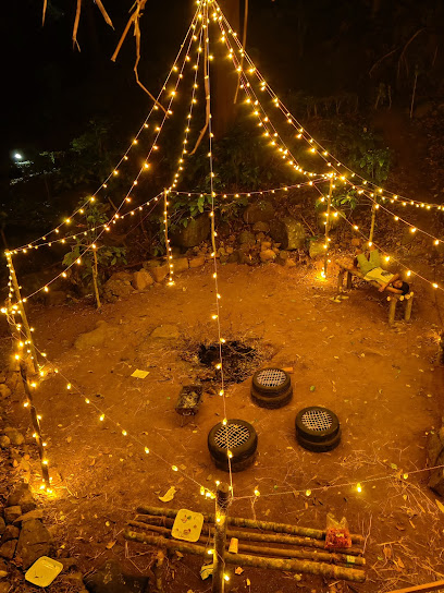 Alpha Jungle Resort