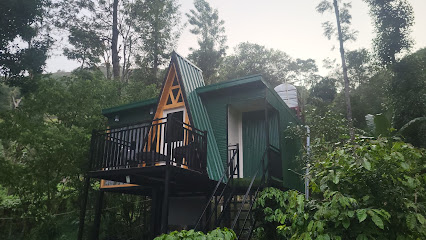Kodai Glamping woods