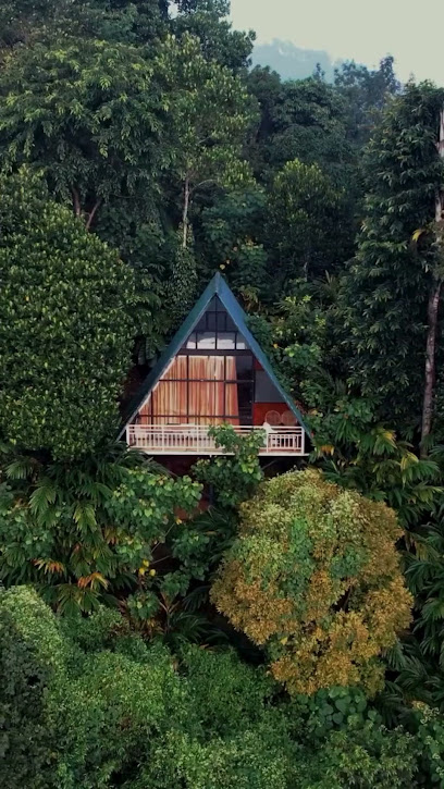 Willmount Cabin Homes, Munnar